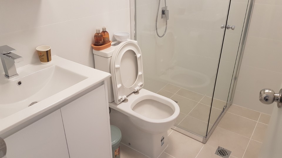 Unit renovation including bathroom at Merrylands